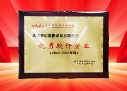 喜讯丨EMC易倍(中国)数据获评2024~2025年度武汉市软件行业&ldquo;优秀企业&rdquo;、&ldquo;优秀工作者&rdquo;荣誉称号！